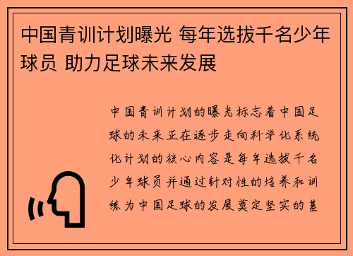 中国青训计划曝光 每年选拔千名少年球员 助力足球未来发展 中国青训计划曝光 每年选拔千名少年球员 助力足球未来发展